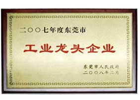 工業(yè)龍頭企業(yè)